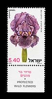 Gilboa Iris