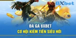 Đá Gà 8XBET - Trận Đấu Kịch Tích, Gây Cấn Tại Các Trường Đấu