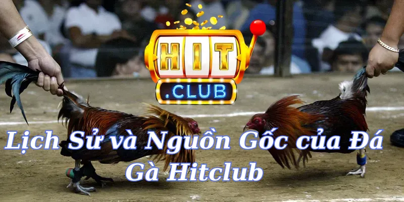 Lịch Sử và Nguồn Gốc của Đá Gà Hitclub